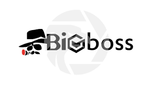 BigBoss-Financial.com Review 2024